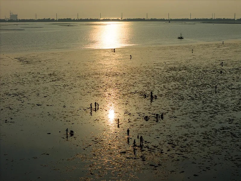 68de3370247068751e1863e4f431a4bb