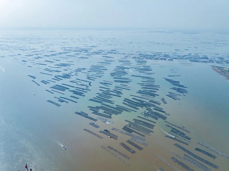 01f3de5f9f479d894ac72364f89078d3