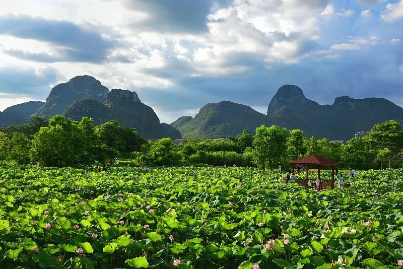 31ea05e7a91343510e4594e0fa013c54