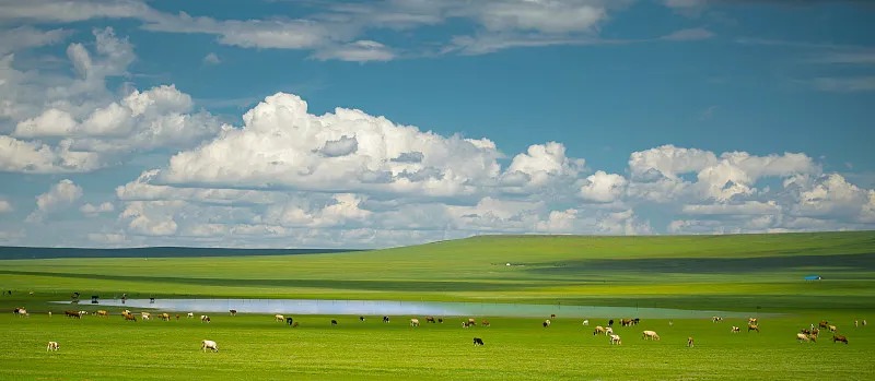 Inner Mongolia Premium Cultural Immersion Tour (12 Days 11 Nights)