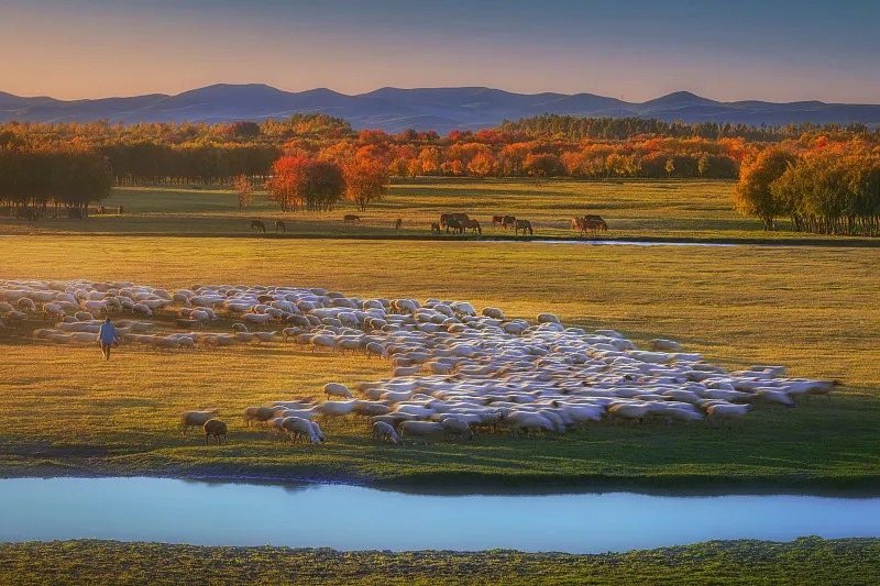 accb65ba4097fe5742903fe7bc30d845