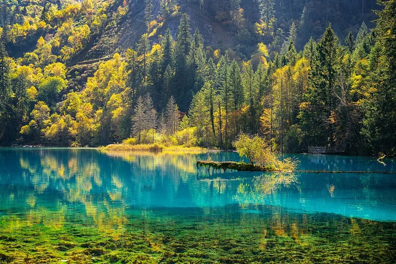 Sichuan "Tianfu Secret Realm · Oriental Healing" 14-Day Ultra-Luxury Wellness & Medical Retreat