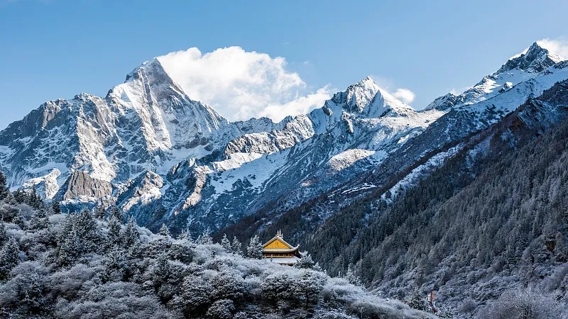 15837d26c21615b334494407065516d8