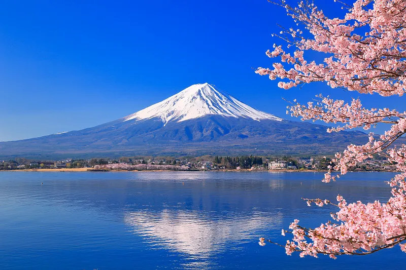 Japanese 