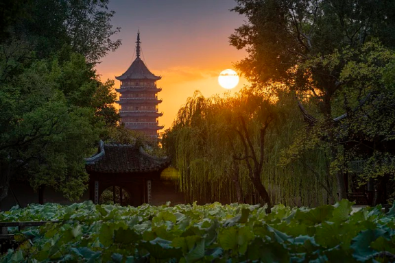 图片 图片
